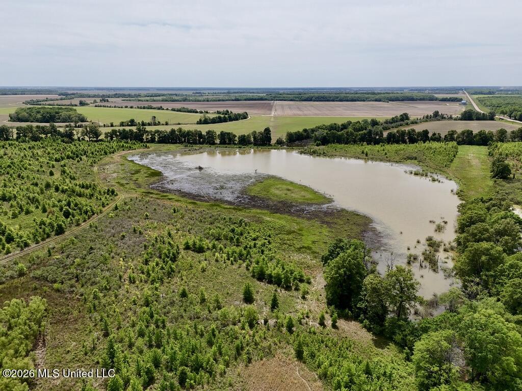 1 Highway 3 Lambert, MS 38643 - Photo 41 of 102 1F586763-6B31-4EE4-A933-58E6E33876B7_1_1