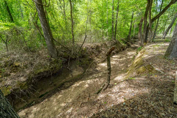 $355,000 | 490 Laney Road, Toone, TN 38381