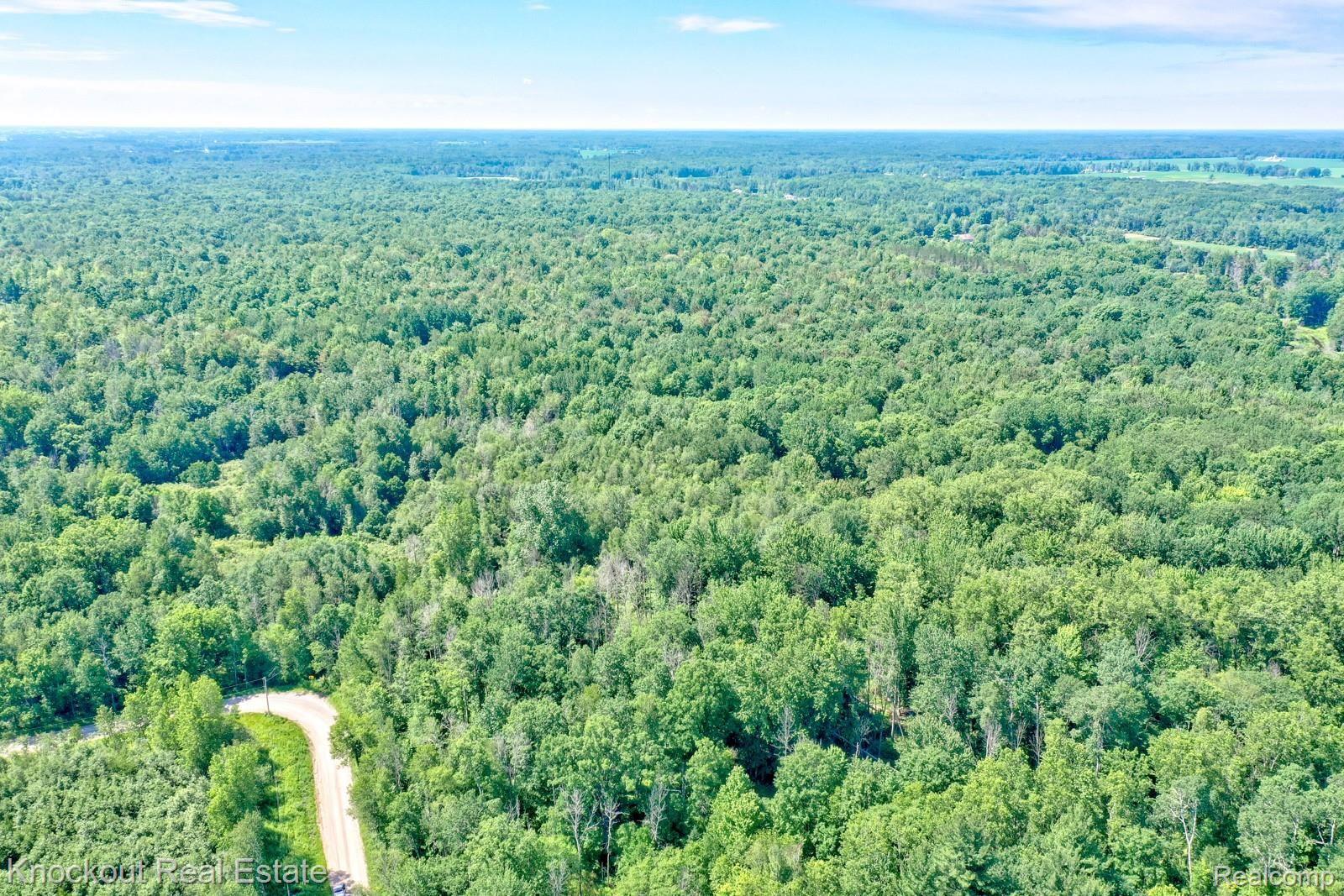 1000 West Kitchen Road Rhodes, MI 48652 - Photo 19 of 34 Kitchen Lots Bay County-16.jpg