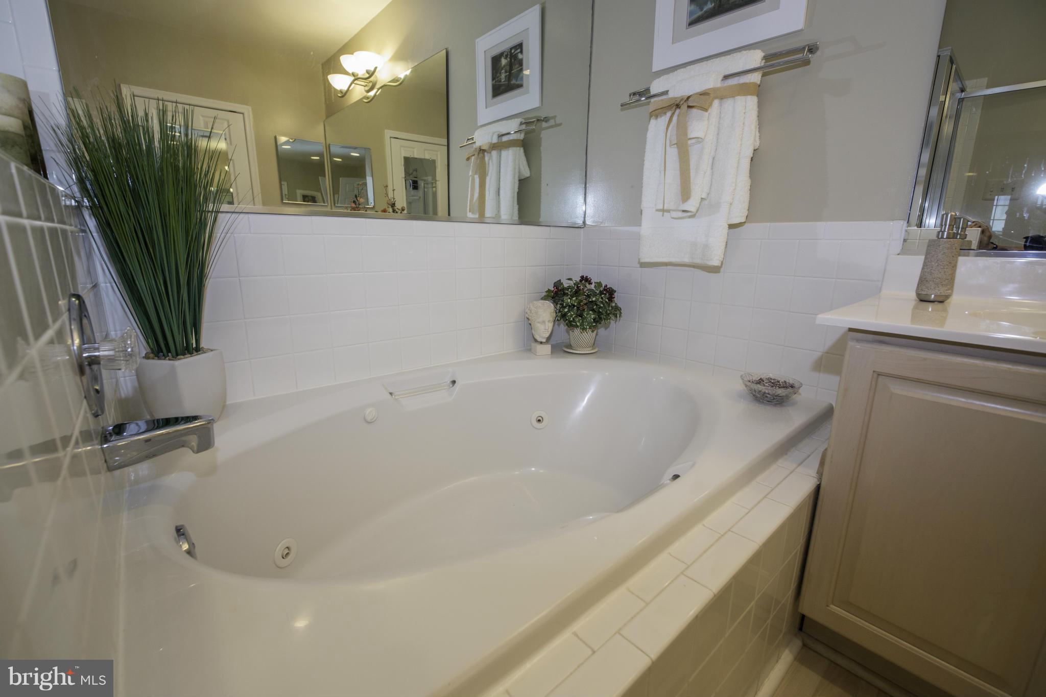 402 Ridgepoint Place, Unit 36 Gaithersburg, MD 20878 - Photo 13 of 30 Oversized jetted tub
