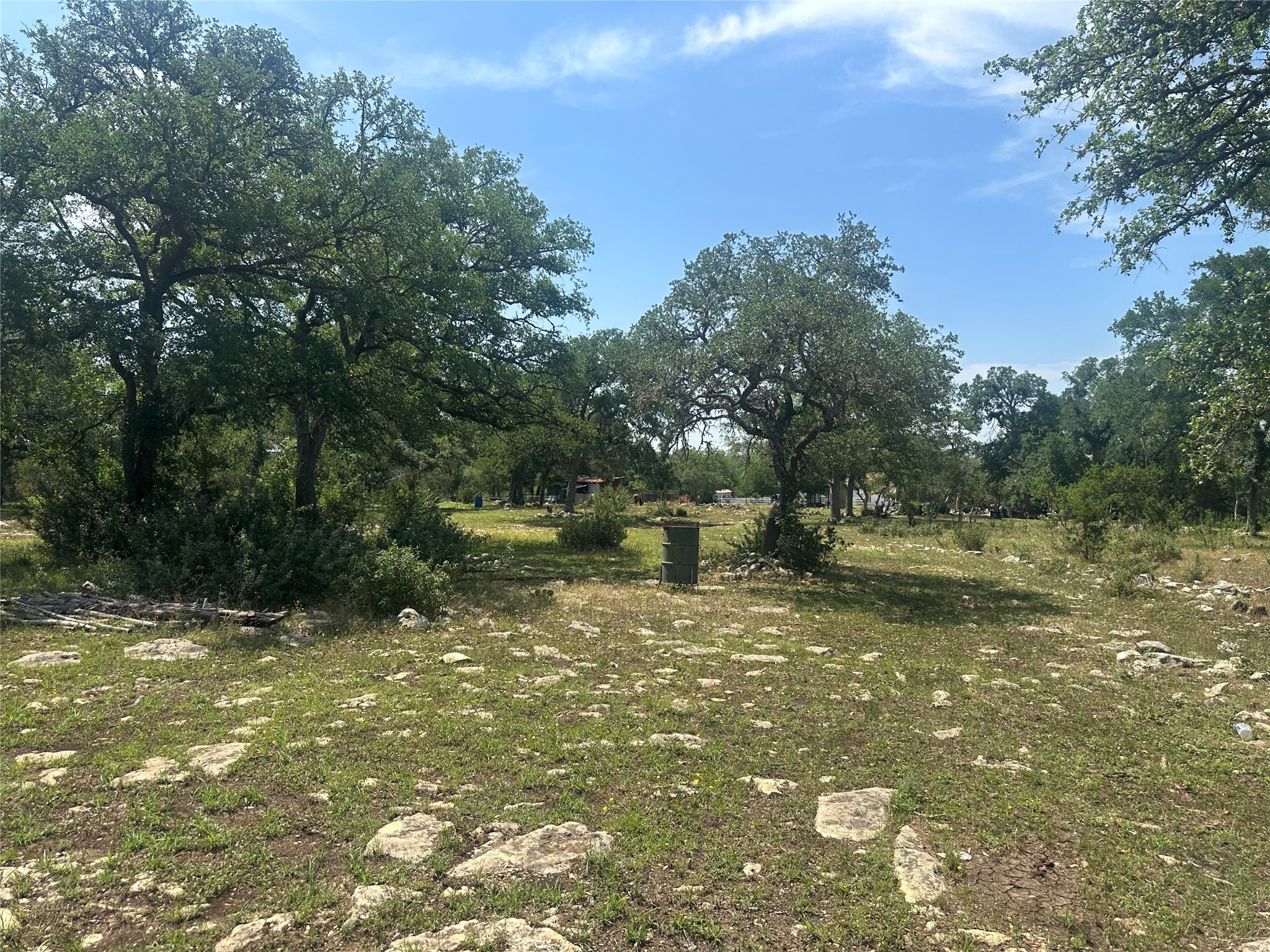 543 Narrows Road Blanco, TX 78606 - Photo 13 of 32 a view of a tree with a yard