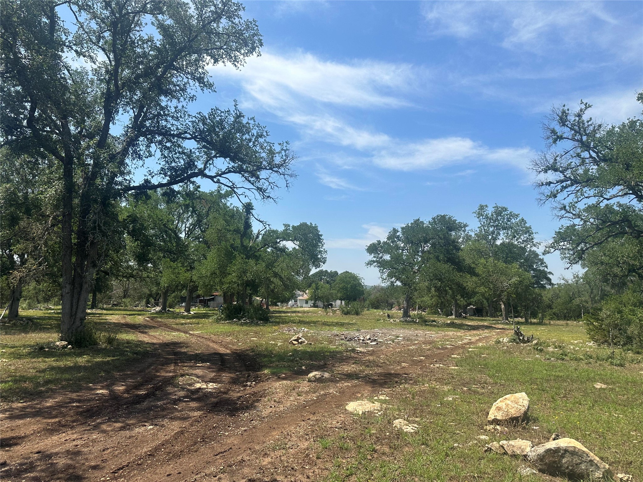 543 Narrows Road Blanco, TX 78606 - Photo 14 of 32 a view of a field with tree s