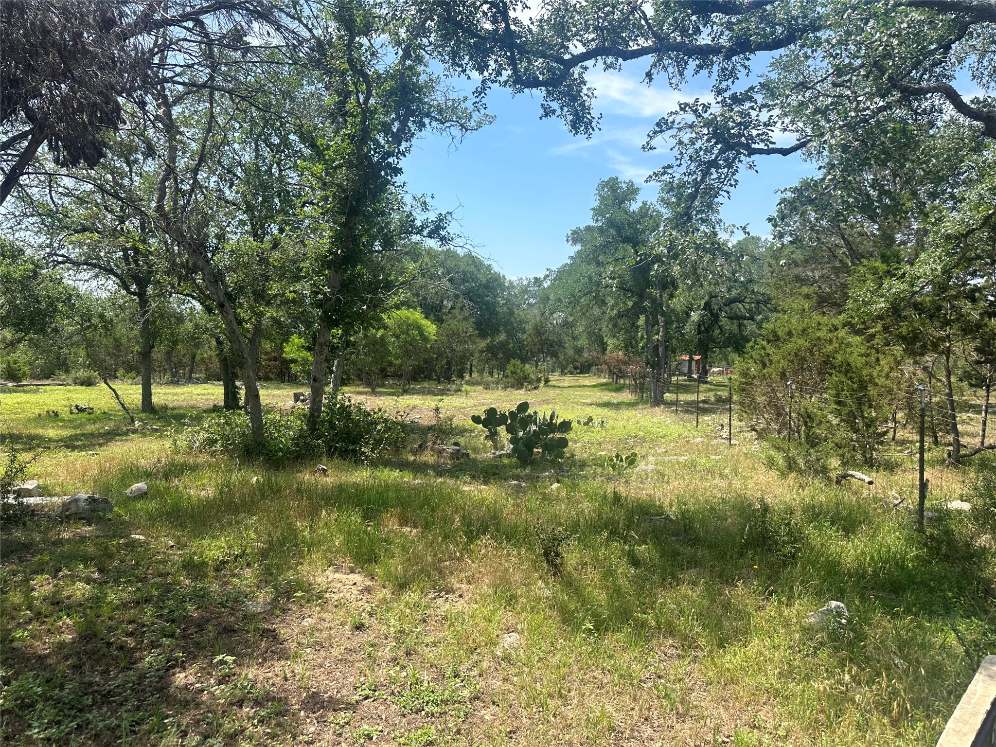 543 Narrows Road Blanco, TX 78606 - Photo 15 of 32 a view of outdoor space with deck and green space