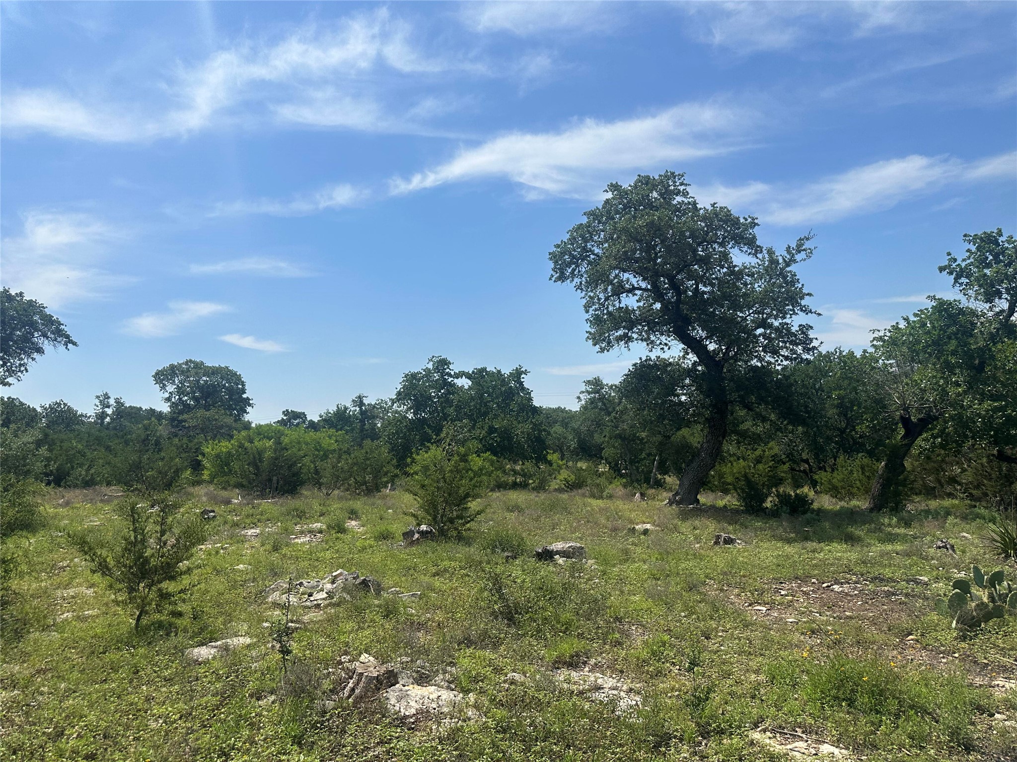 543 Narrows Road Blanco, TX 78606 - Photo 17 of 32 a view of a big yard with plants and large tree