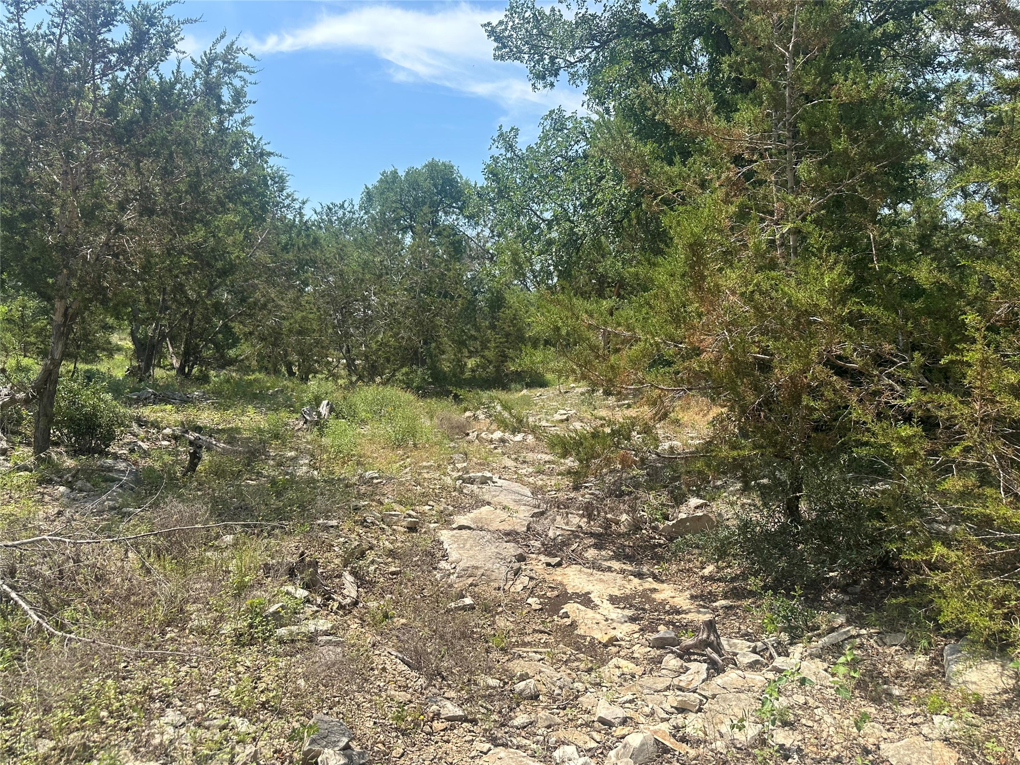 543 Narrows Road Blanco, TX 78606 - Photo 19 of 32 a view of a yard with a tree