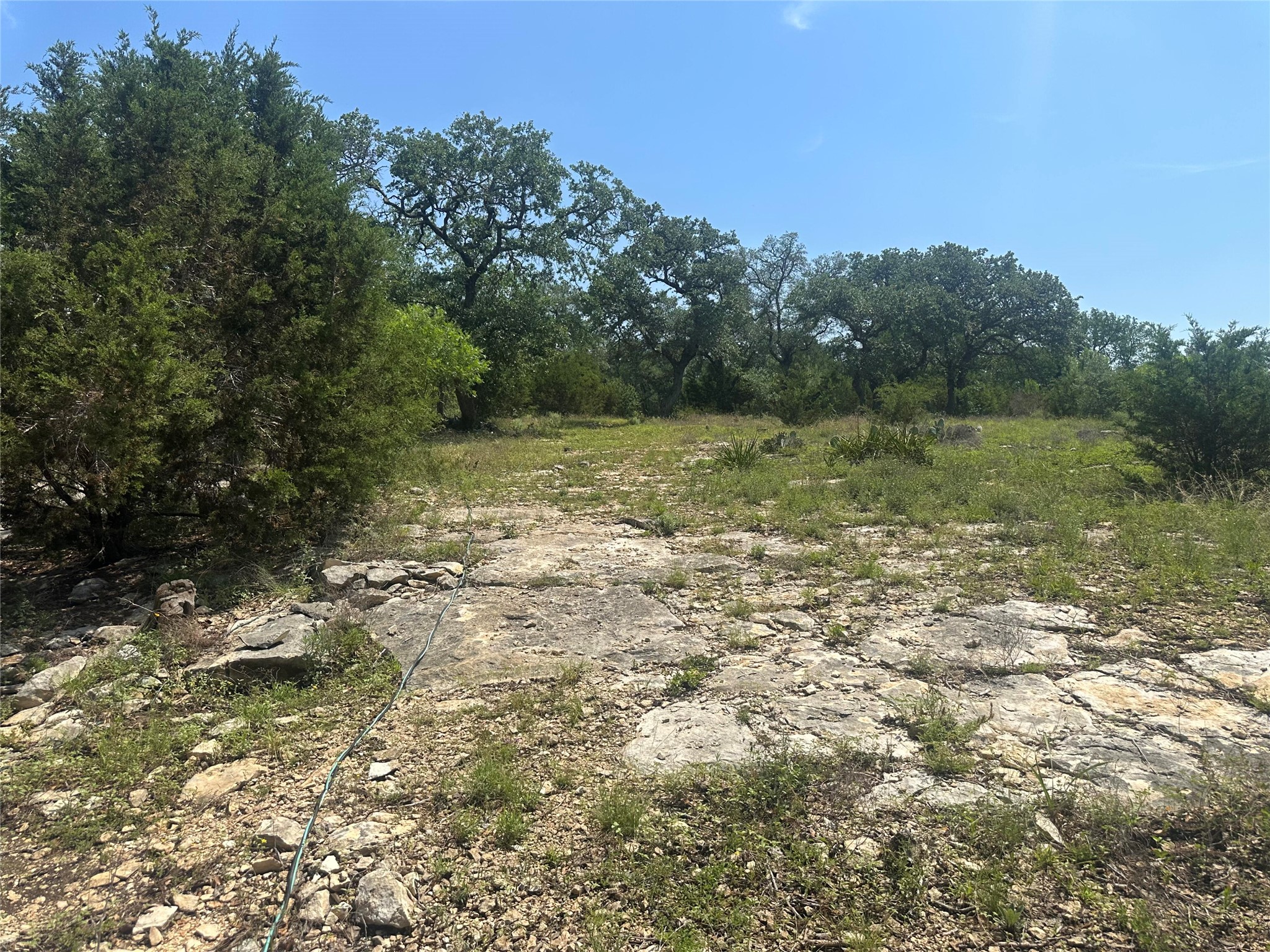 543 Narrows Road Blanco, TX 78606 - Photo 20 of 32 a view of yard with green space
