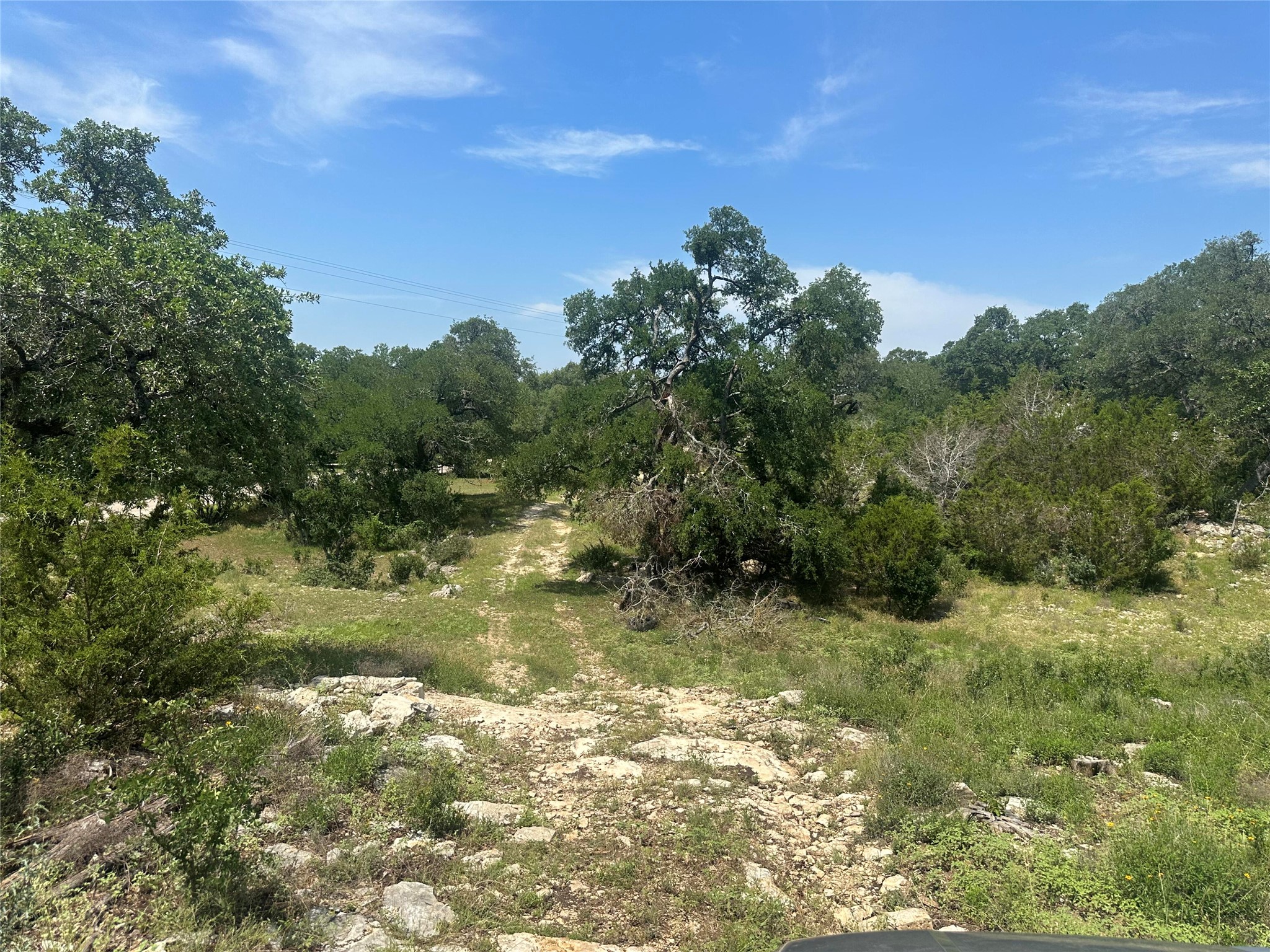 543 Narrows Road Blanco, TX 78606 - Photo 21 of 32 a view of a yard with a tree