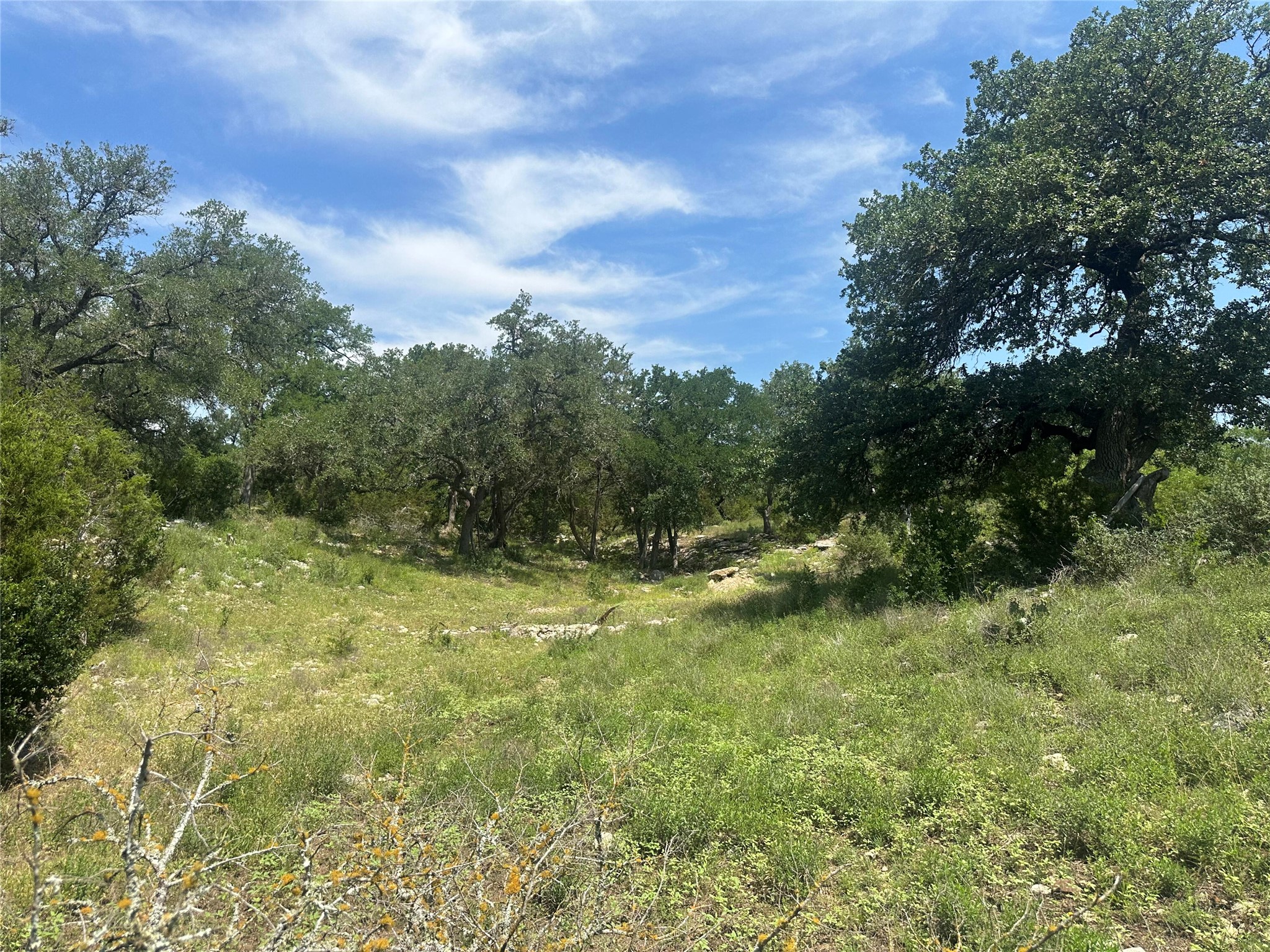 543 Narrows Road Blanco, TX 78606 - Photo 22 of 32 a view of a green yard with large trees