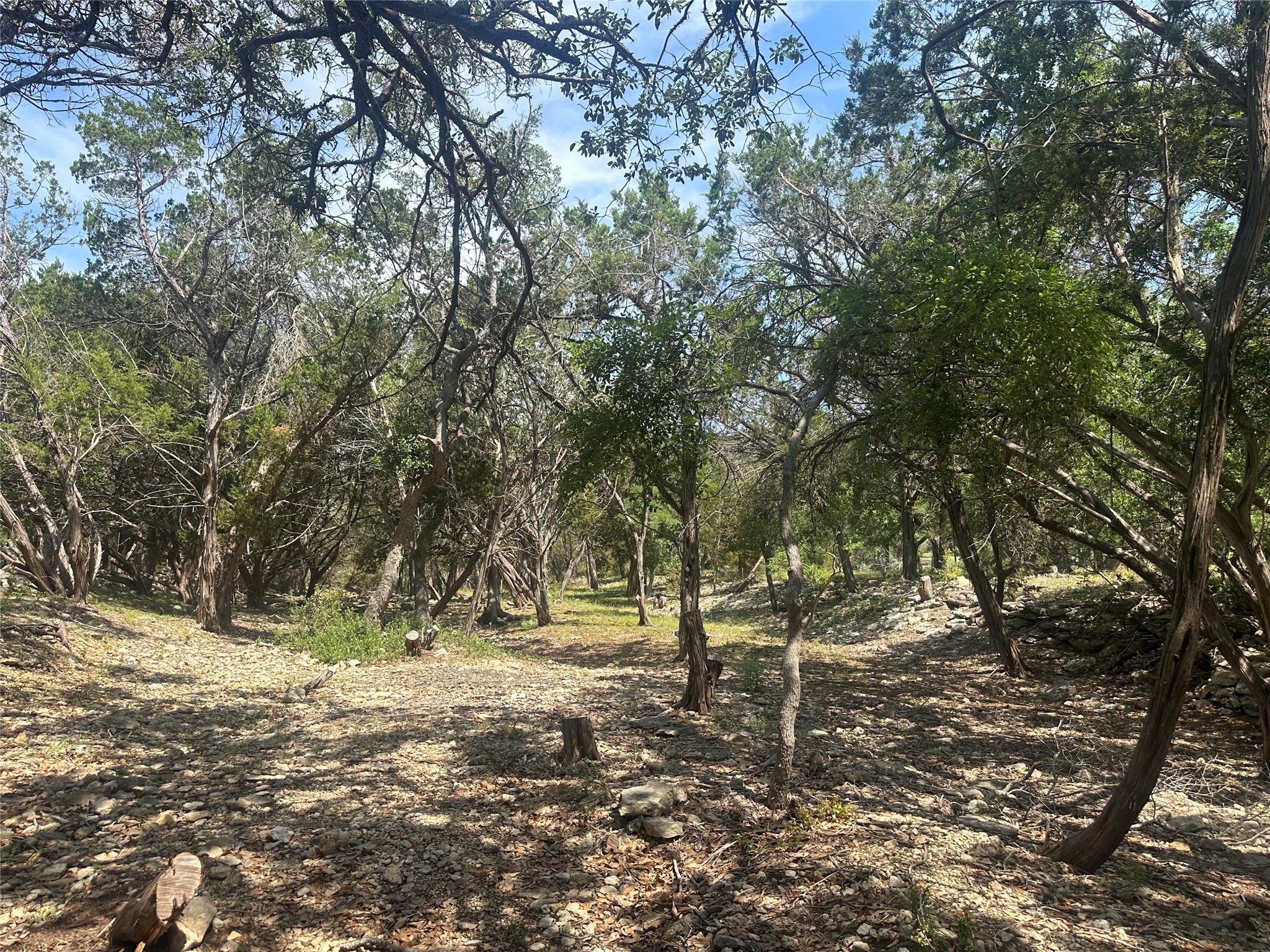 543 Narrows Road Blanco, TX 78606 - Photo 5 of 32 a backyard of a house with lots of green space