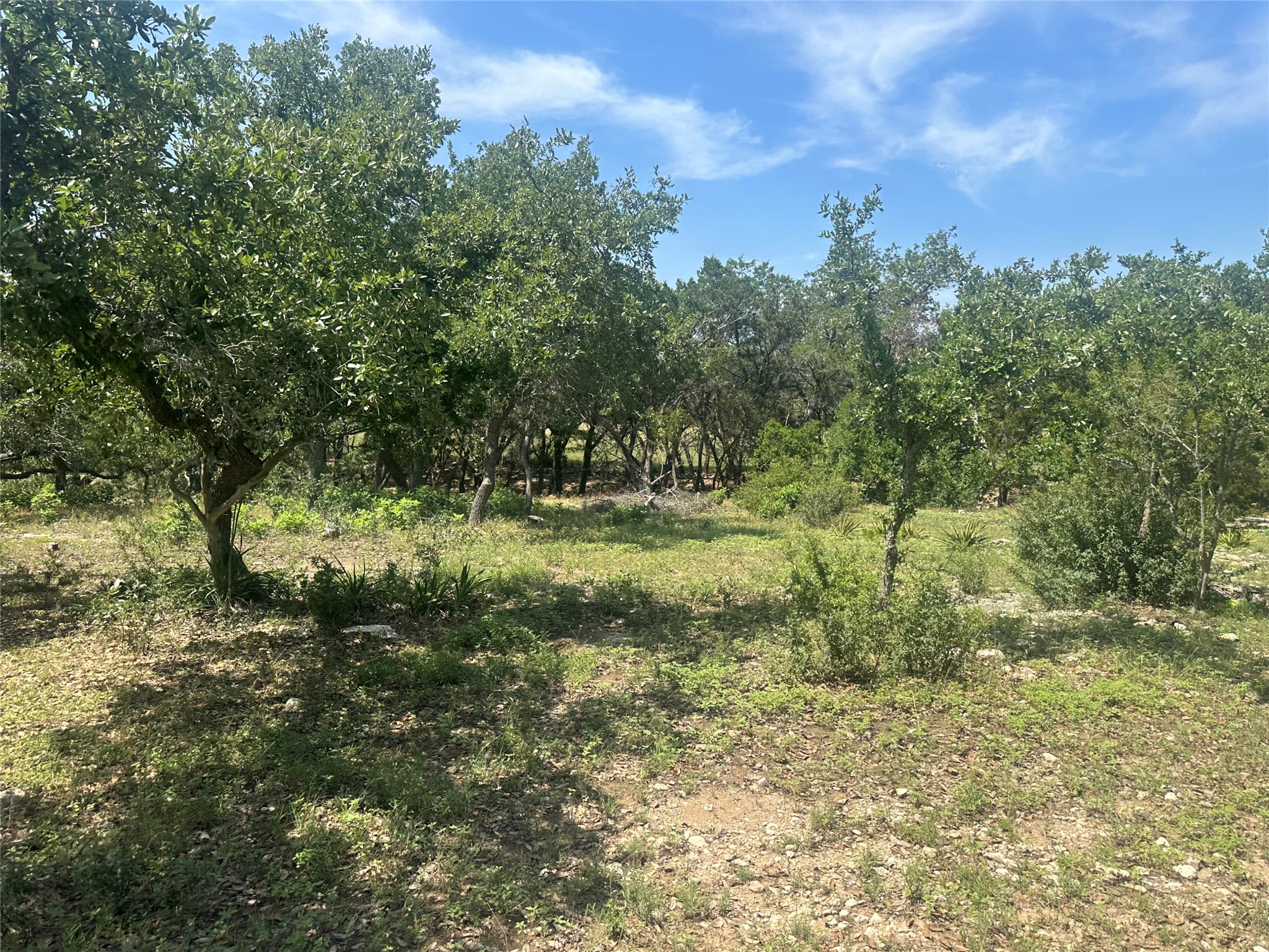543 Narrows Road Blanco, TX 78606 - Photo 7 of 32 a view of a field with a tree