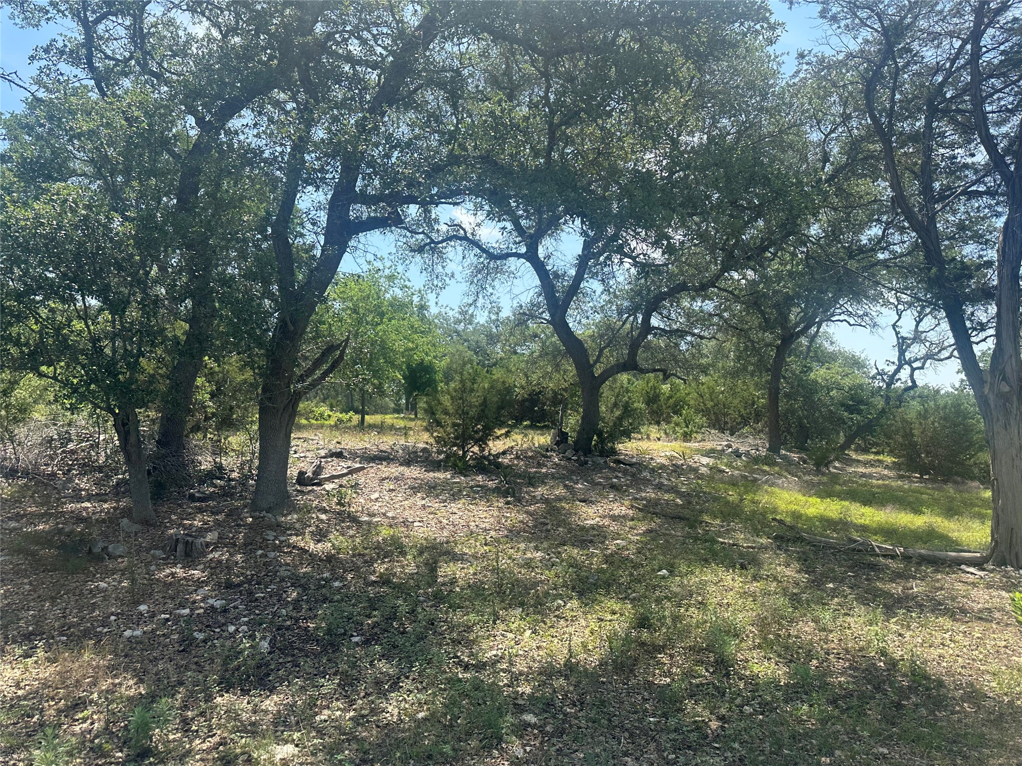 543 Narrows Road Blanco, TX 78606 - Photo 10 of 32 a view of a yard with a tree