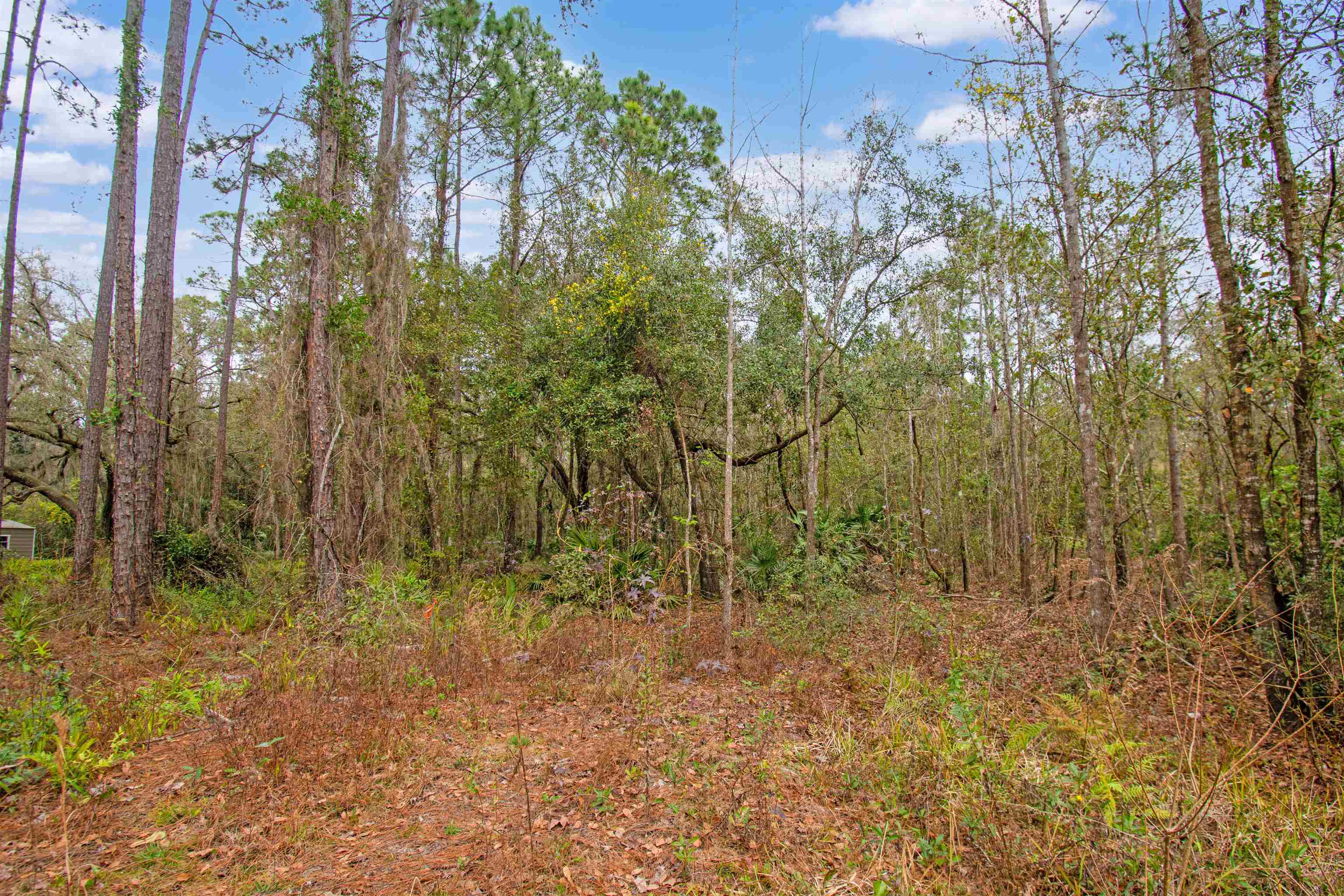 0 Riverdale Road St. Augustine, FL 32092 - Photo 16 of 17 Gallery Image 16