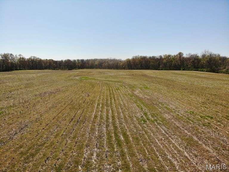 7850 Jefferson Road Freeburg, IL 62243 - Photo 9 of 19