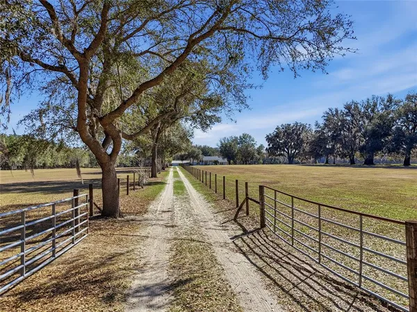 a view of a roof deck with large trees