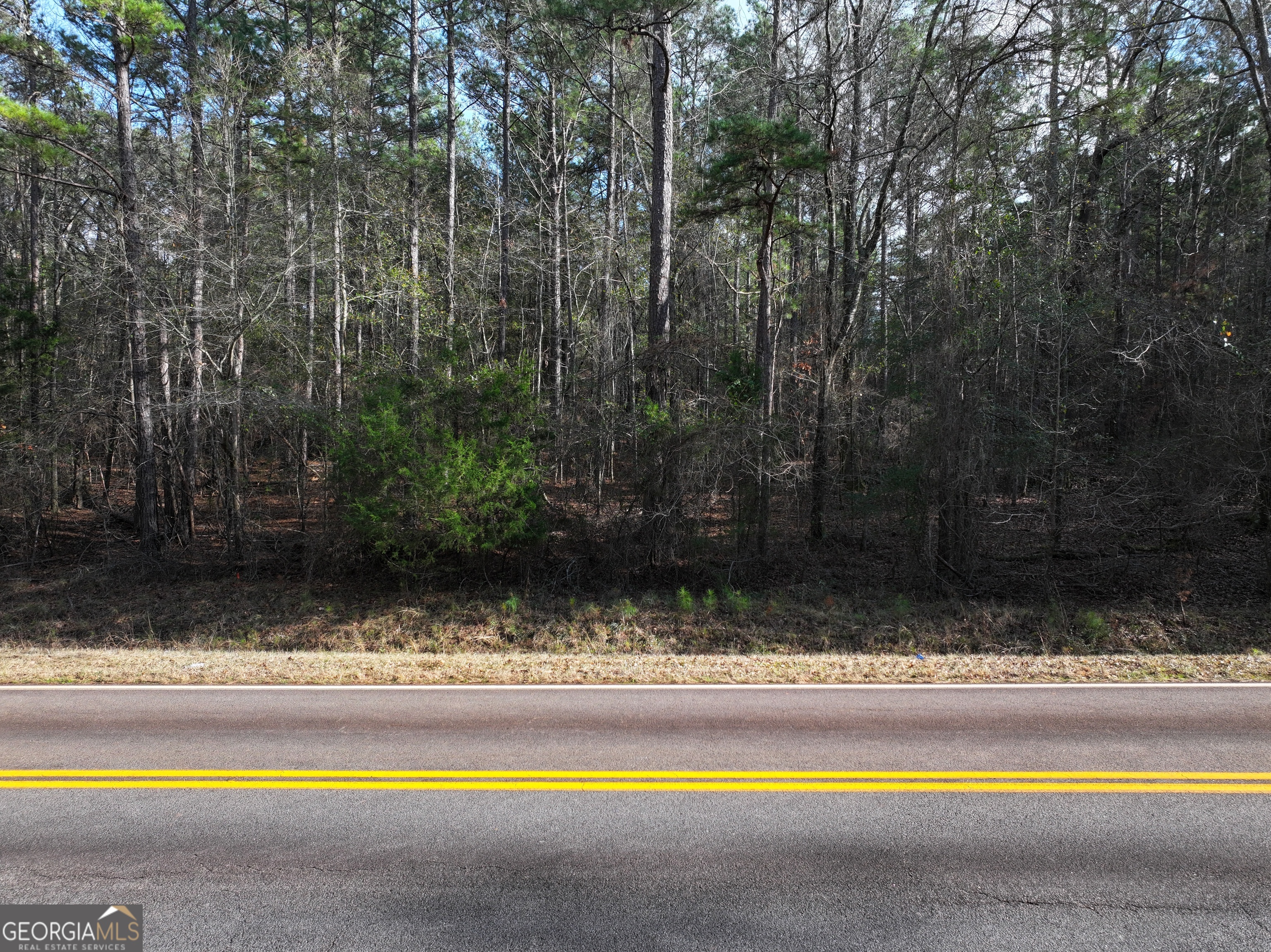 Lot 3 Salem Road Pine Mountain, GA 31822 - Photo 1 of 2