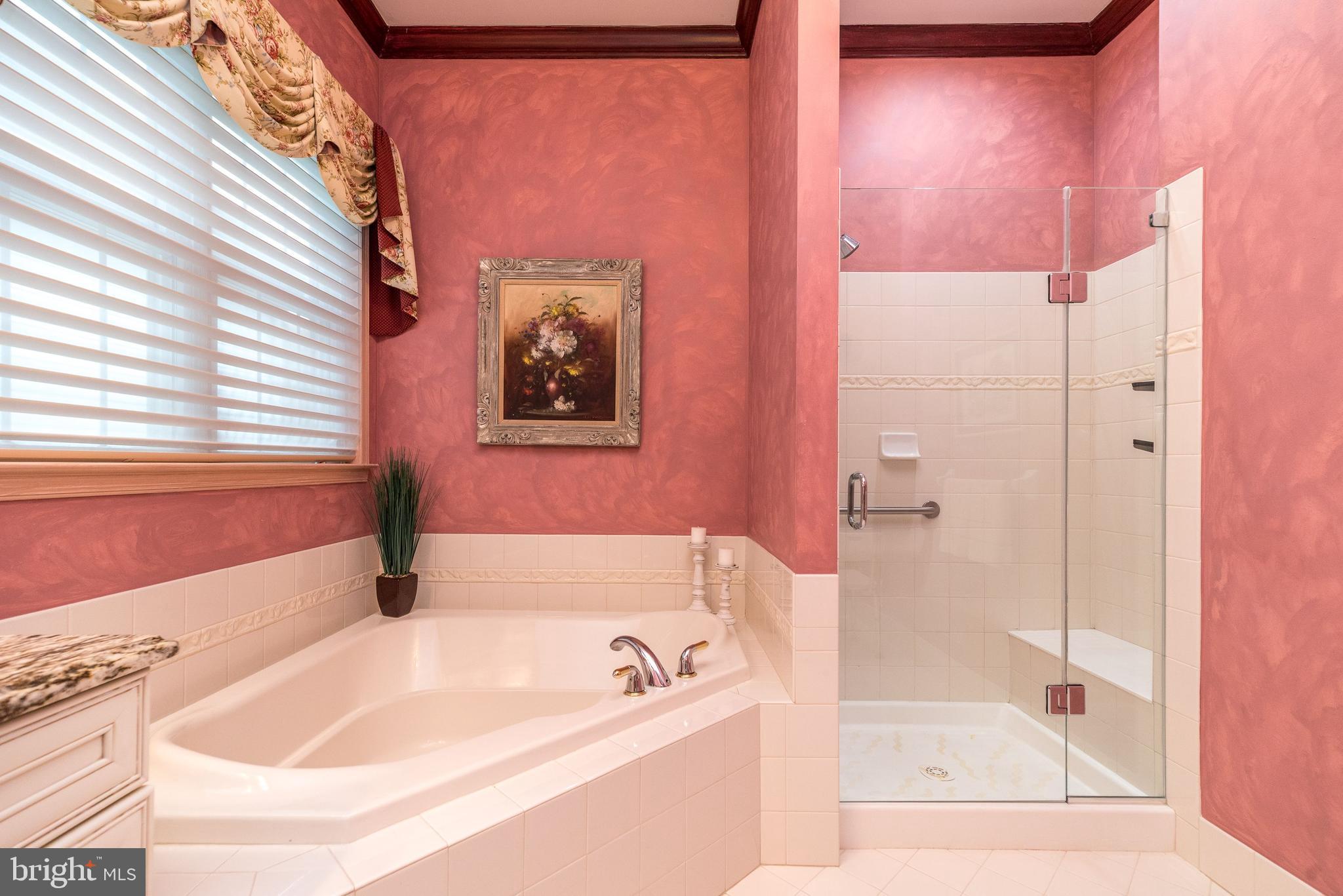 57 Nathaniel Road Holland, PA 18966 - Photo 35 of 64 Soaking tub and walk in Shower with seat