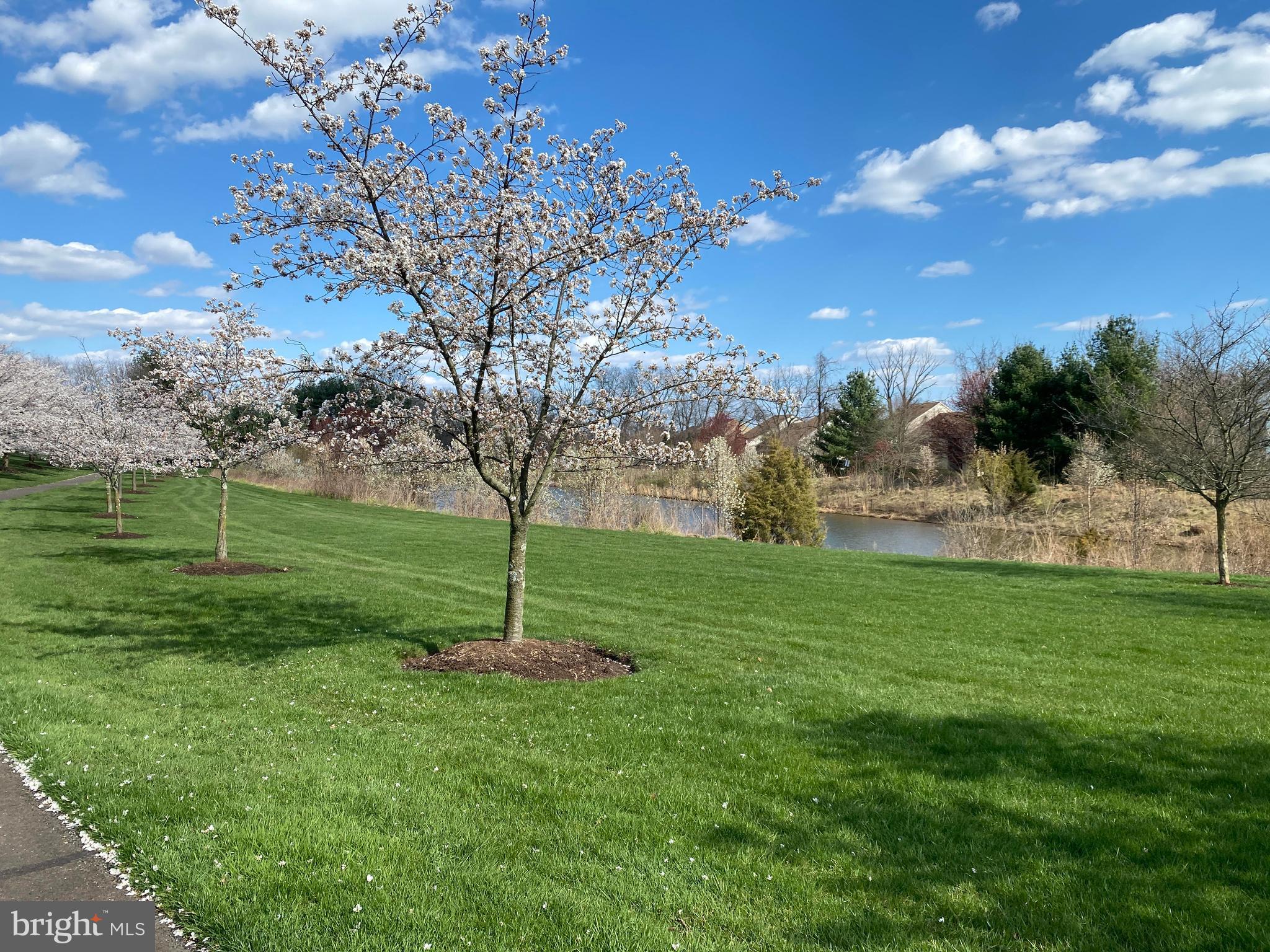 57 Nathaniel Road Holland, PA 18966 - Photo 62 of 64 Community Pond