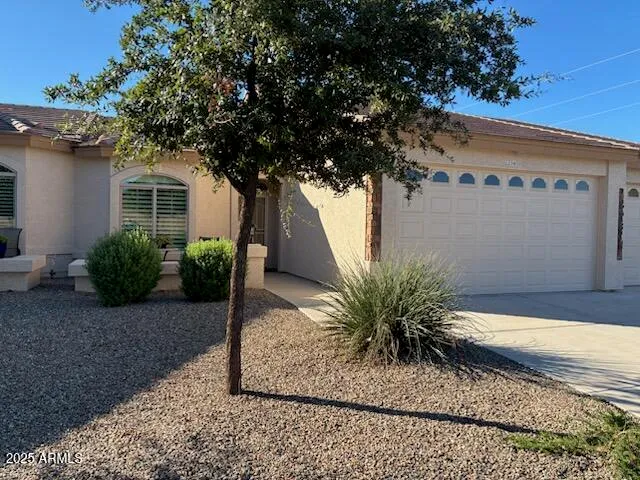 a potted plant sitting in front of a house