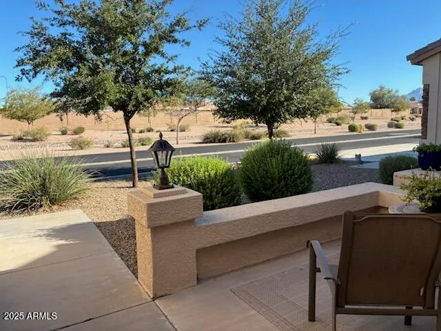 a view of a garden with plants and a bench