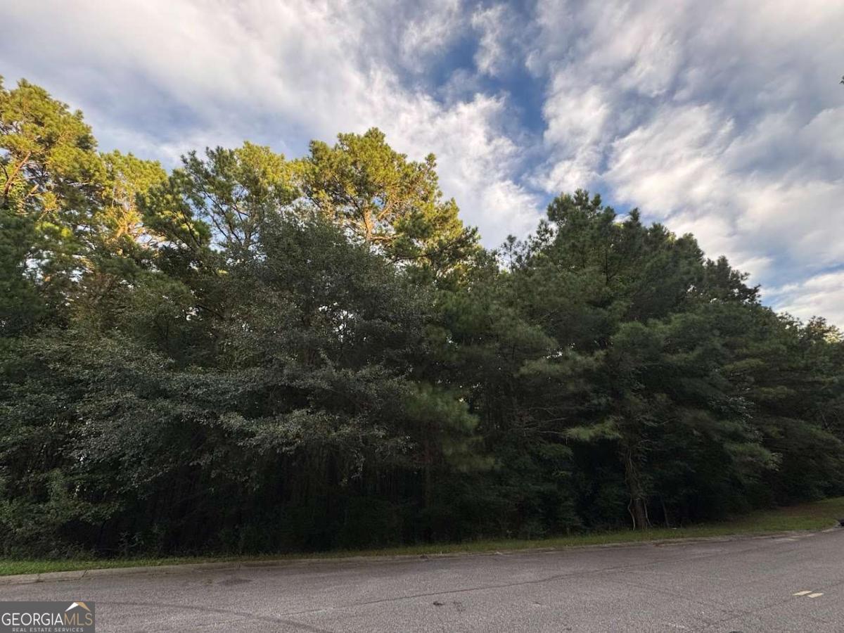 4820 Lexington Road Athens, GA 30605 - Photo 3 of 6 a view of a yard