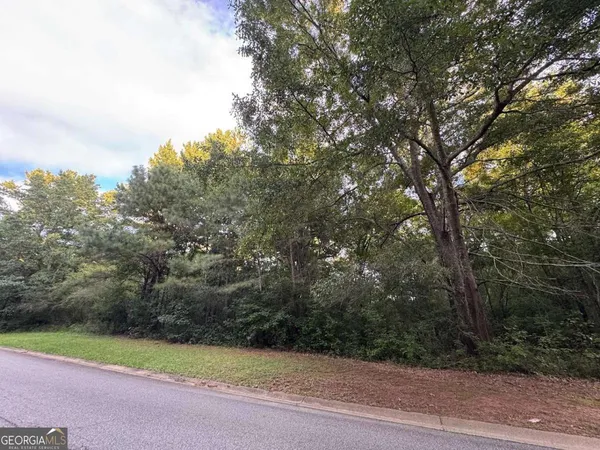 a view of a yard with a trees