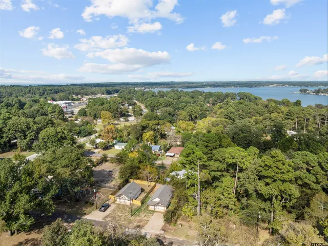 a view of a city with lush green forest