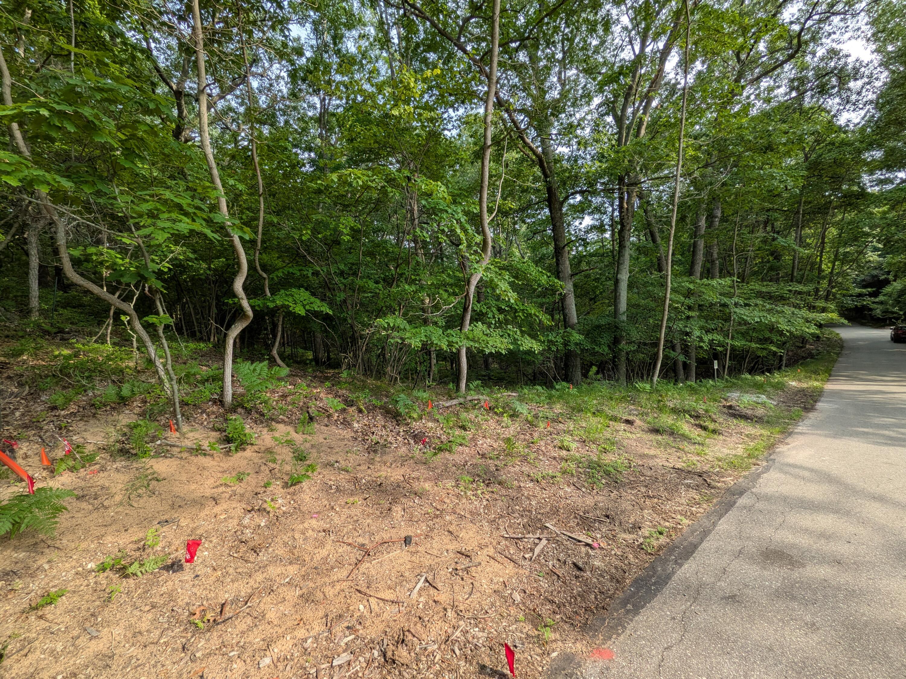 North Silver Ridge Road Mears, MI 49436 - Photo 3 of 11 PXL_20260705_215549512