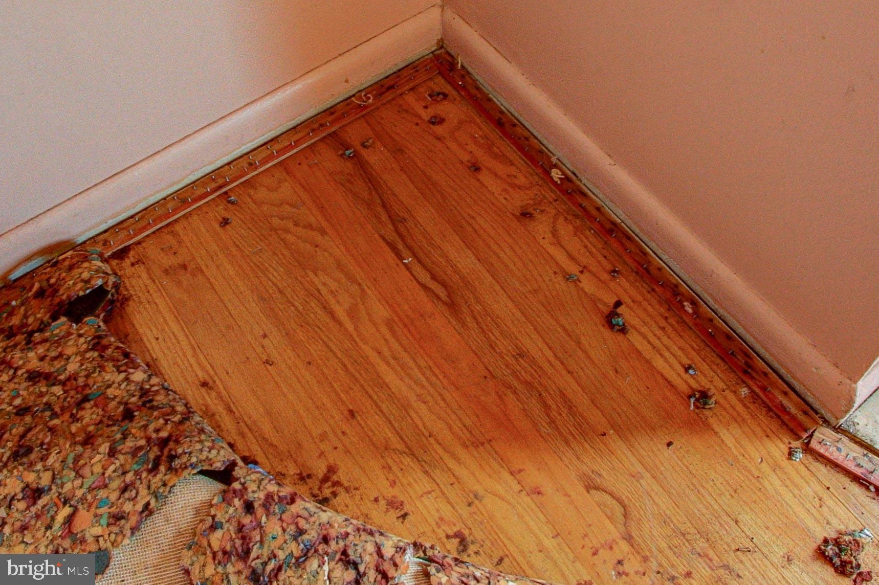 1073 Surrey Road Philadelphia, PA 19115 - Photo 32 of 32