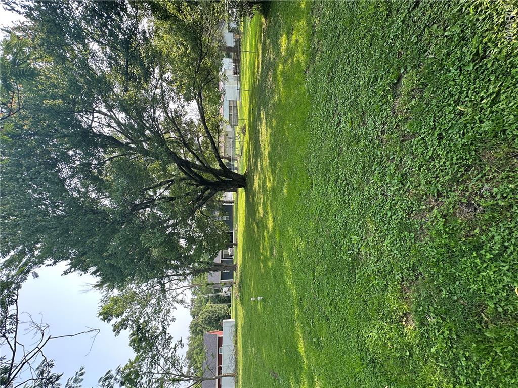 109 Virginia Street Cambria, IL 62915 - Photo 4 of 4