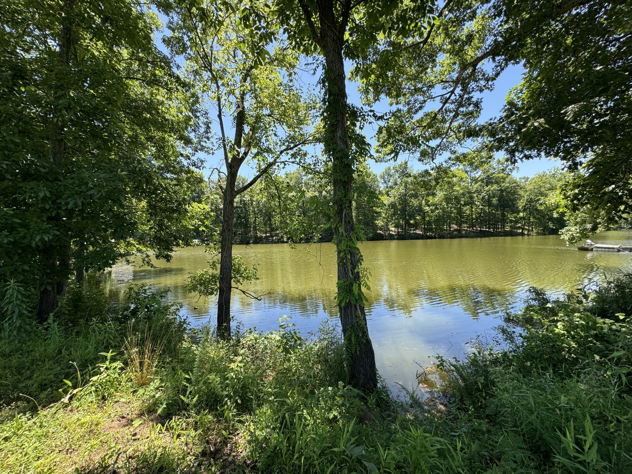 an aerial view of a house with a yard and lake view