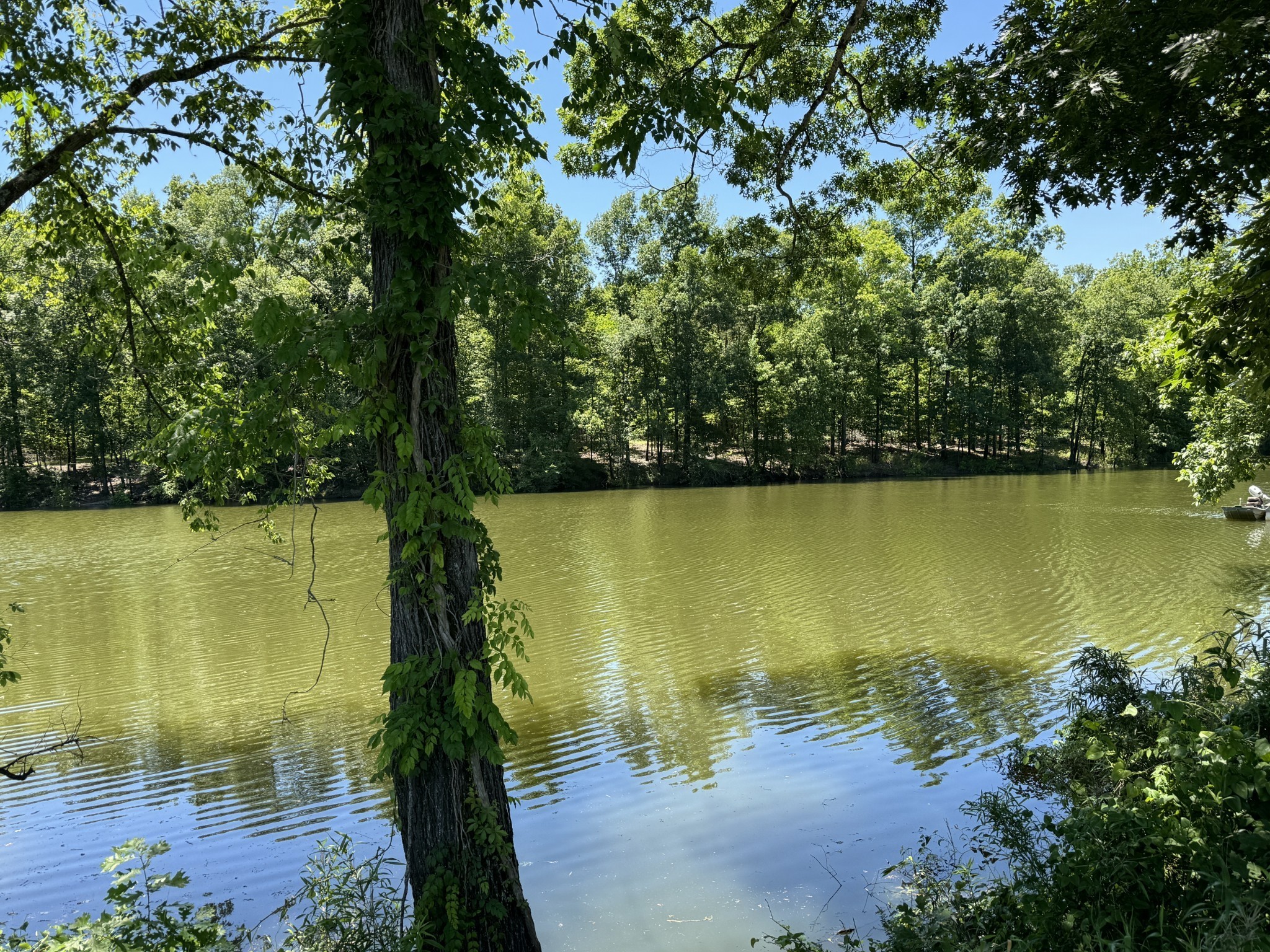 384 Duck Blind Road Clifton, TN 38425 - Photo 3 of 11 a view of a lake with a mountain in the background