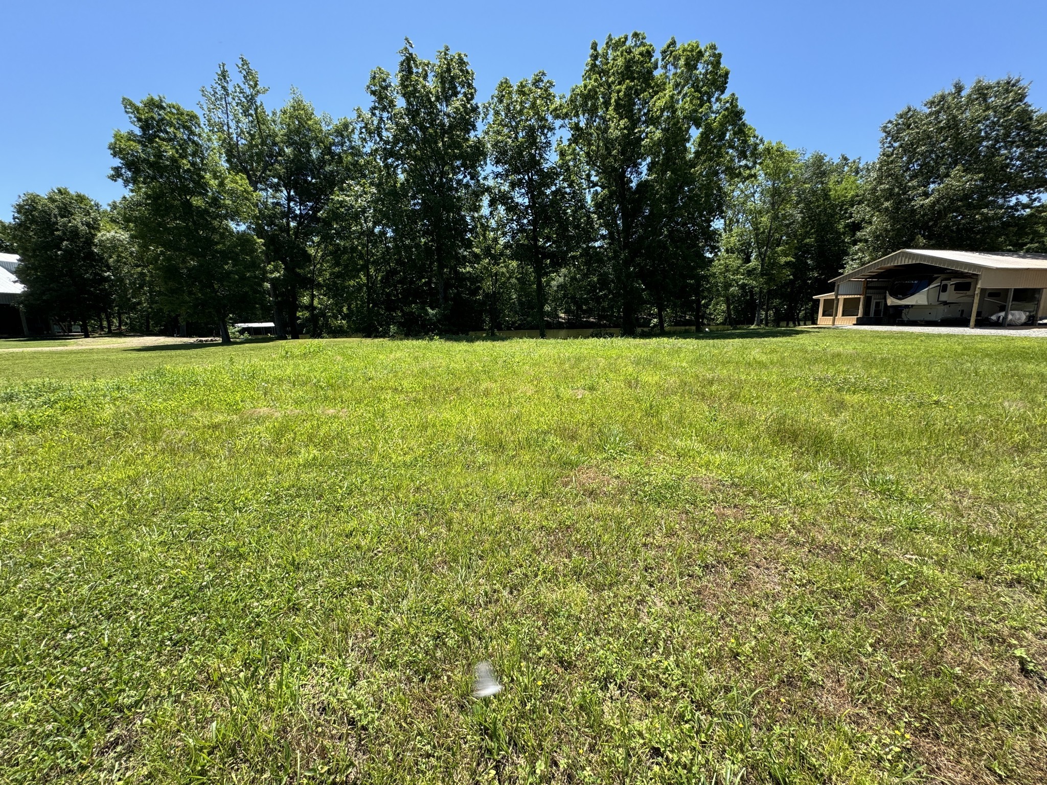 384 Duck Blind Road Clifton, TN 38425 - Photo 4 of 11 a view of garden with trees