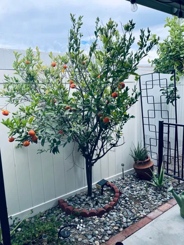 $269,000 | 246 Laredo Drive, Palm Springs, CA 92264