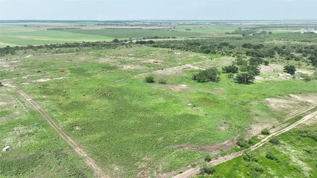 a view of a field with an ocean view