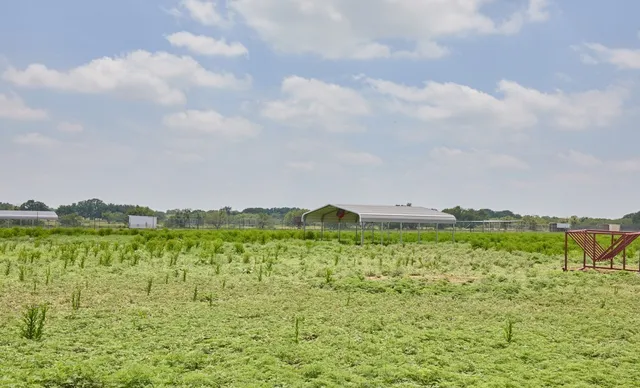 a view of a big yard