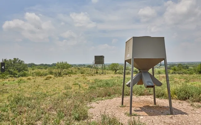 a view of a bench in the middle of a yard