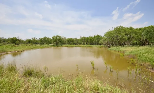 a view of lake with green space