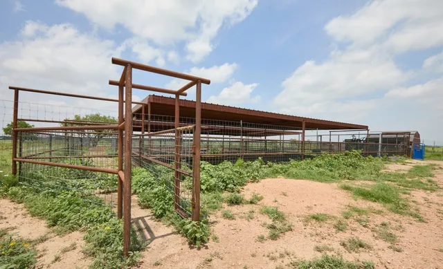a view of backyard with wooden fence