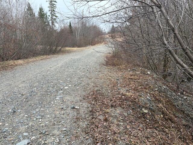 1482 Mattmiscontis Road Lincoln, ME 04457 - Photo 3 of 10 IMG_3777