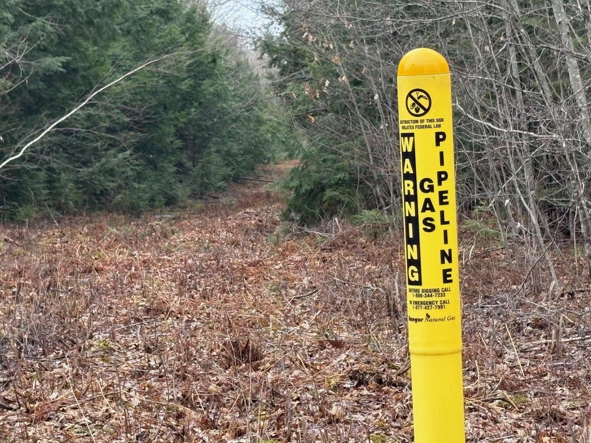 1482 Mattmiscontis Road Lincoln, ME 04457 - Photo 4 of 10 IMG_3761