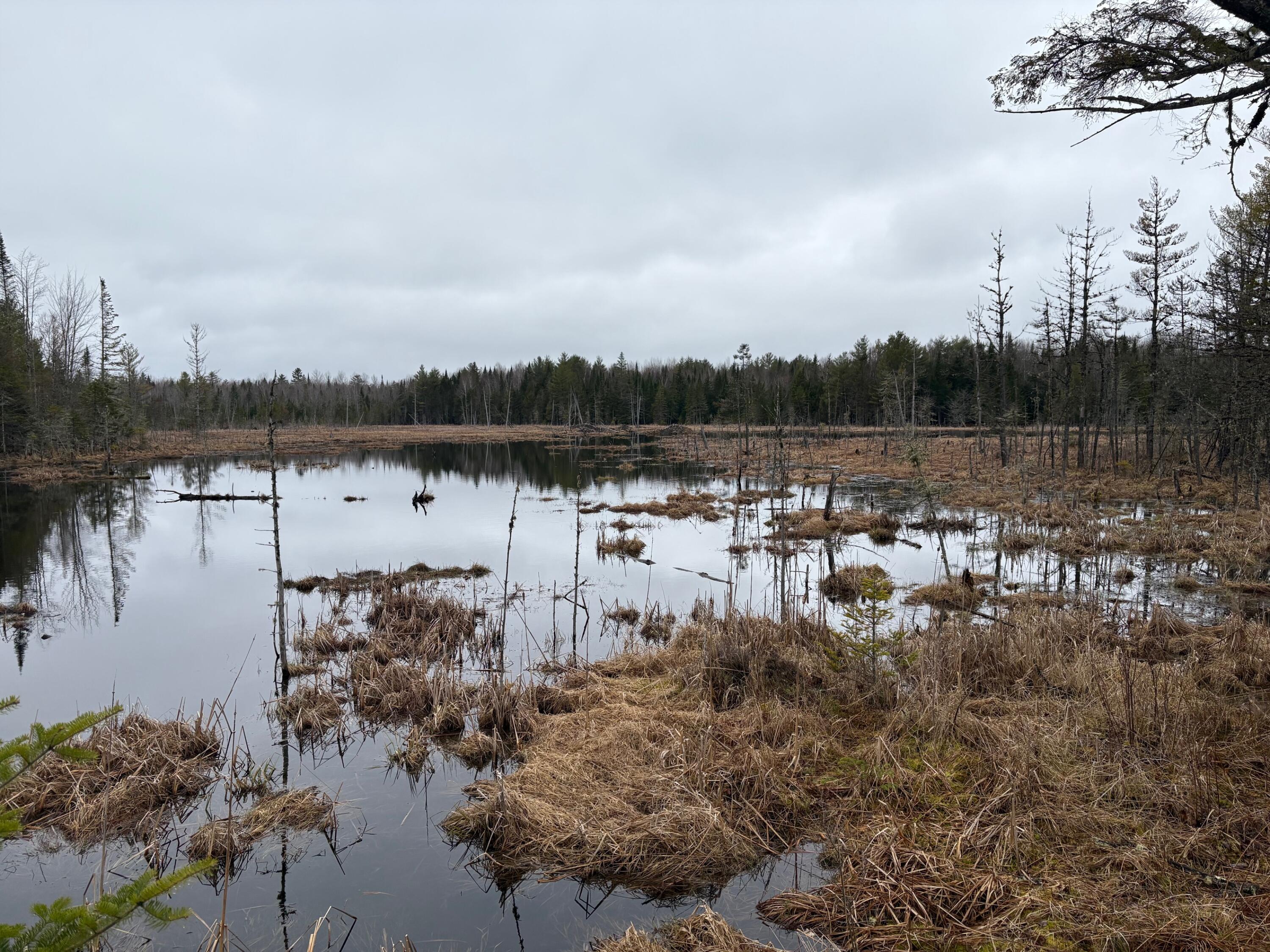 1482 Mattmiscontis Road Lincoln, ME 04457 - Photo 6 of 10 IMG_3772