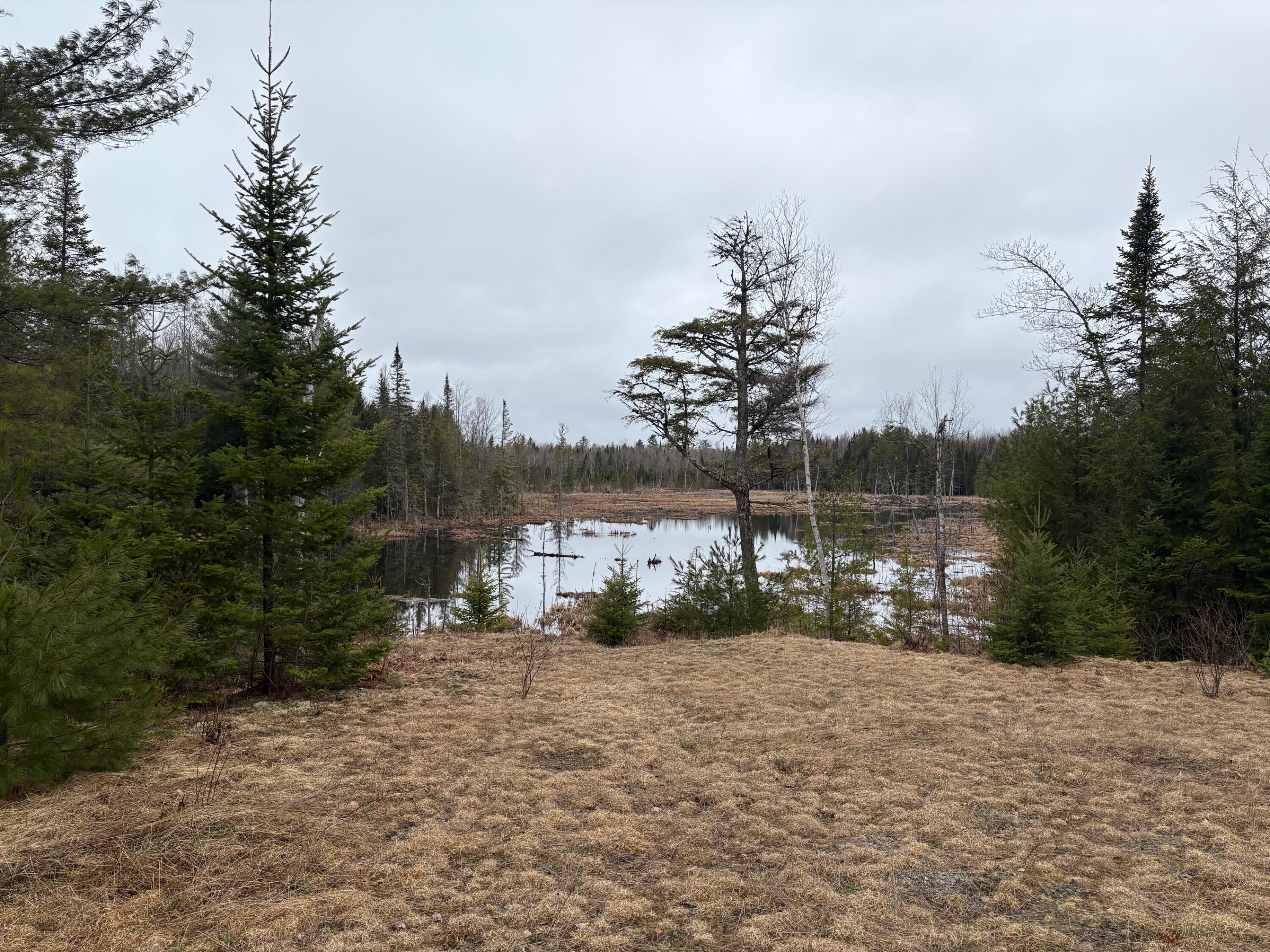 1482 Mattmiscontis Road Lincoln, ME 04457 - Photo 7 of 10 IMG_3767 (1)