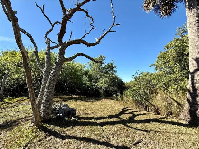 a view of a tree in front of a house