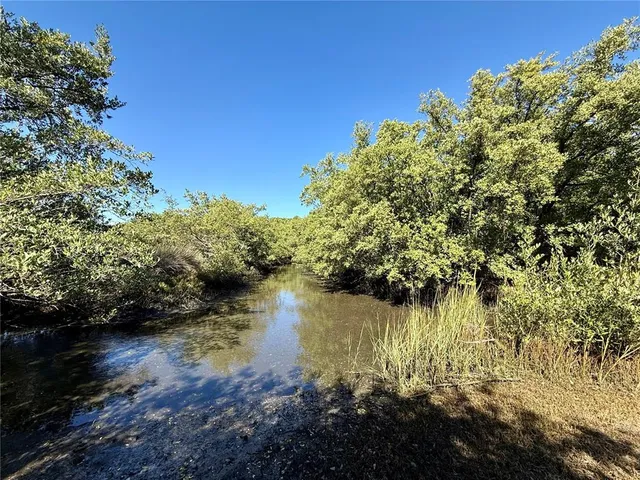 a view of a backyard of the house