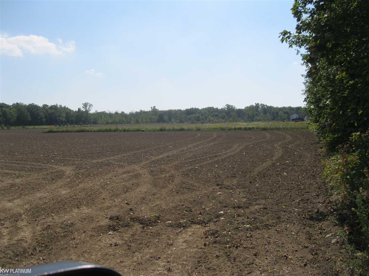 Ob Green Goodells, MI 48027 - Photo 4 of 10