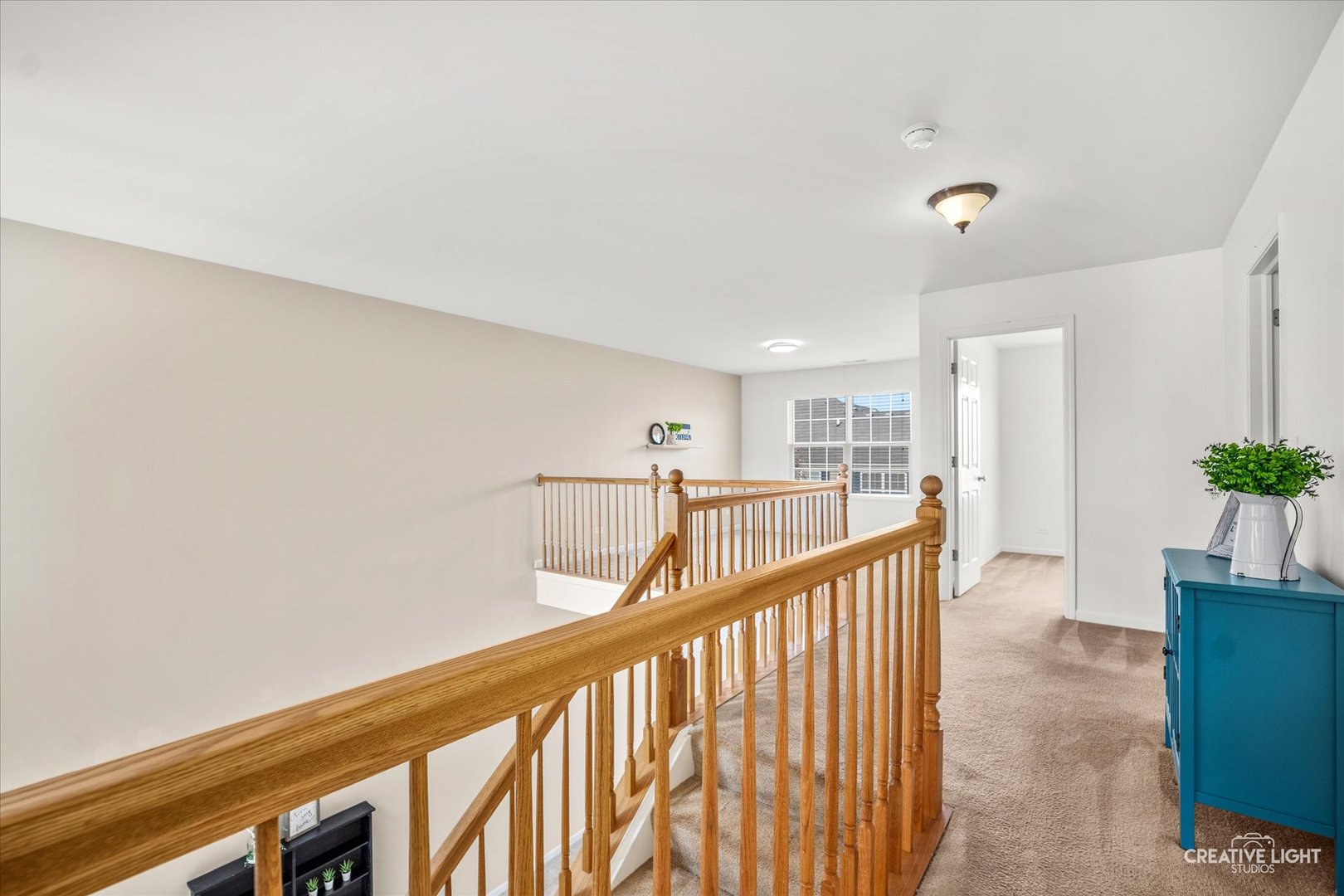 425 South Jade Lane Round Lake, IL 60073 - Photo 10 of 16