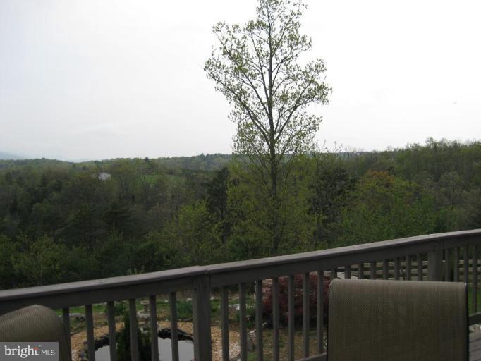 1315 Siler Road Winchester, VA 22603 - Photo 22 of 29 Deck - View from