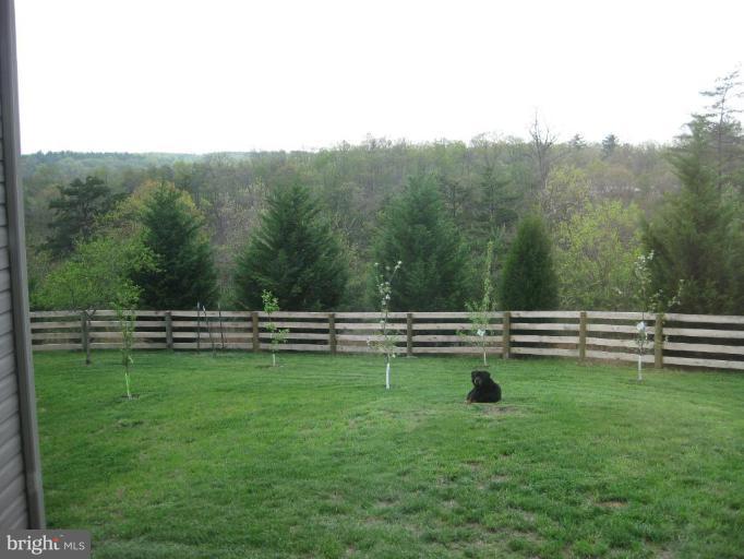 1315 Siler Road Winchester, VA 22603 - Photo 23 of 29 Wooded View / Acreage