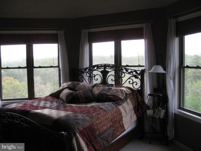 1315 Siler Road Winchester, VA 22603 - Photo 6 of 29 Master Bedroom