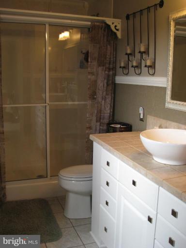 1315 Siler Road Winchester, VA 22603 - Photo 7 of 29 Master Bath